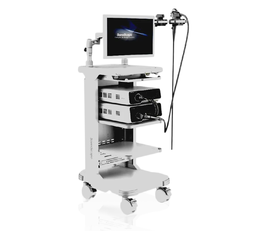 Гибкая эндоскопия