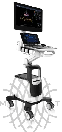 УЗИ аппарат Chison Qbit 11