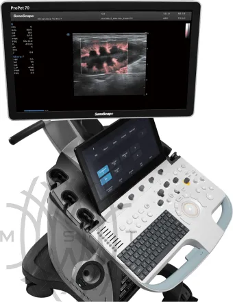 УЗИ аппарат SonoScape ProPet 70