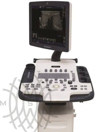 Ультразвуковая диагностическая система GE Logiq V5