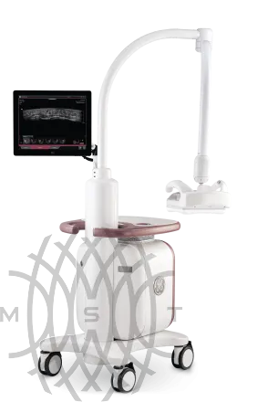 GE HealthCare Invenia ABUS ультразвуковая система