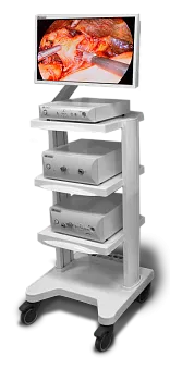 DS.Vision FHD 3in1 Видеокамера эндоскопическая с принадлежностями, вариант исполнения: F-368D  
